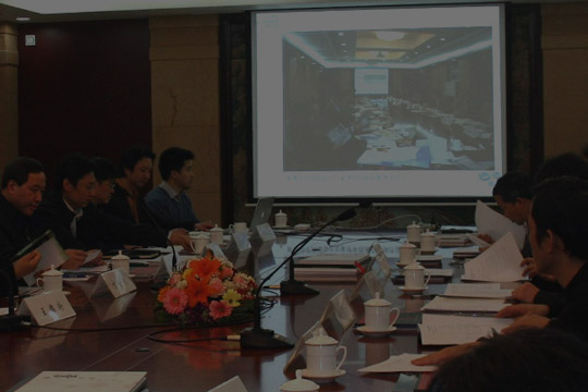 政府听证会